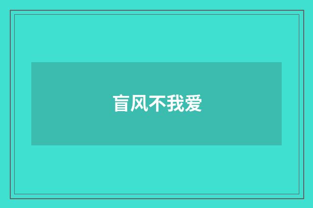 盲风不我爱