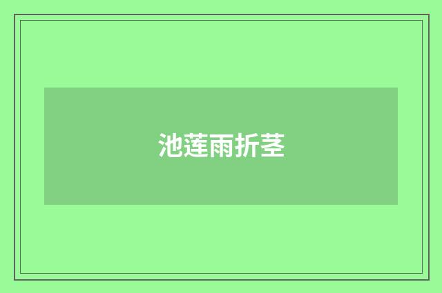 池莲雨折茎