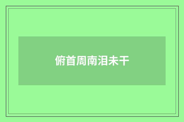 俯首周南泪未干