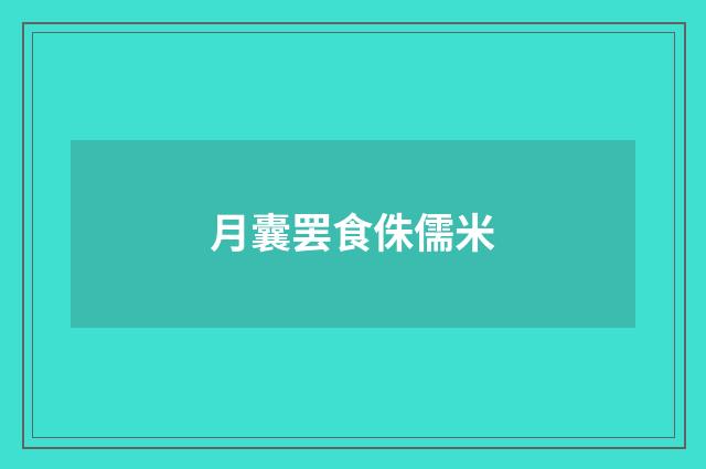 月囊罢食侏儒米