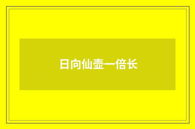 日向仙壶一倍长