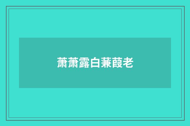 萧萧露白蒹葭老