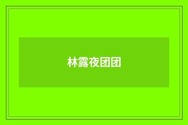 林露夜团团