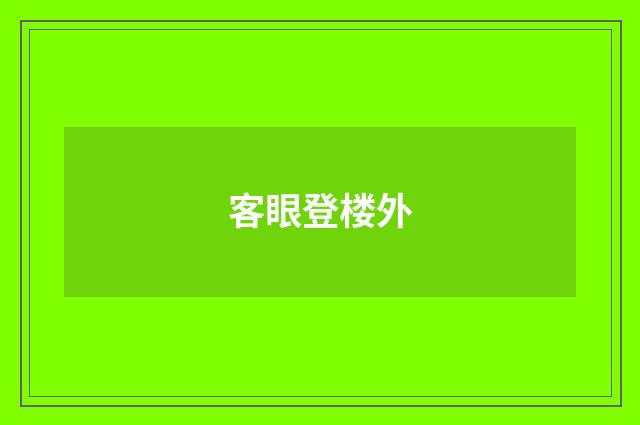 客眼登楼外