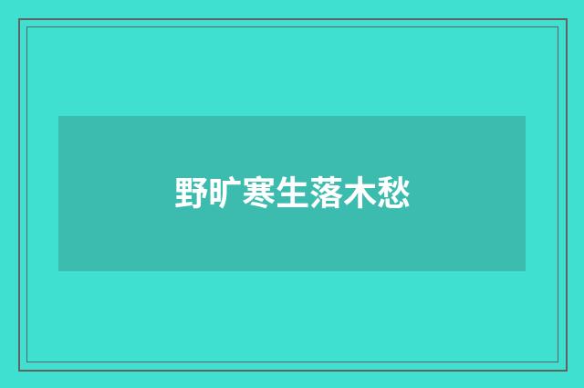 野旷寒生落木愁