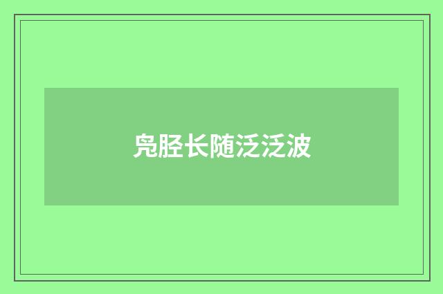 凫胫长随泛泛波