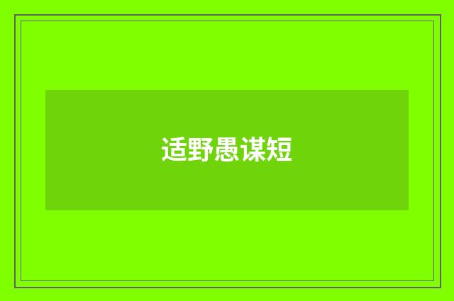 适野愚谋短