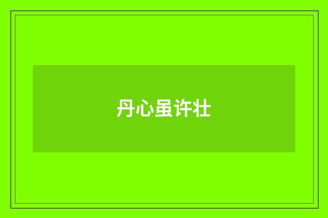 丹心虽许壮