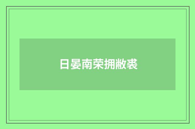 日晏南荣拥敝裘