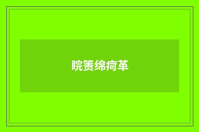 睆箦绵疴革