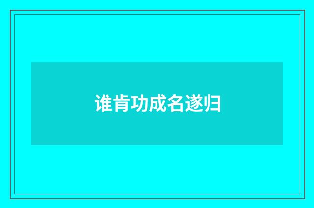 谁肯功成名遂归