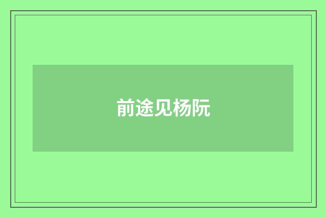 前途见杨阮