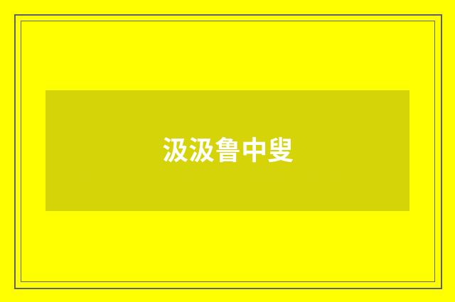 汲汲鲁中叟