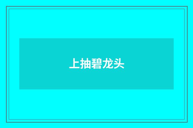 上抽碧龙头