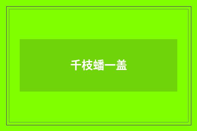 千枝蟠一盖