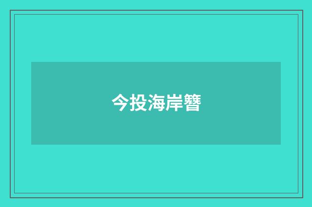 今投海岸簪
