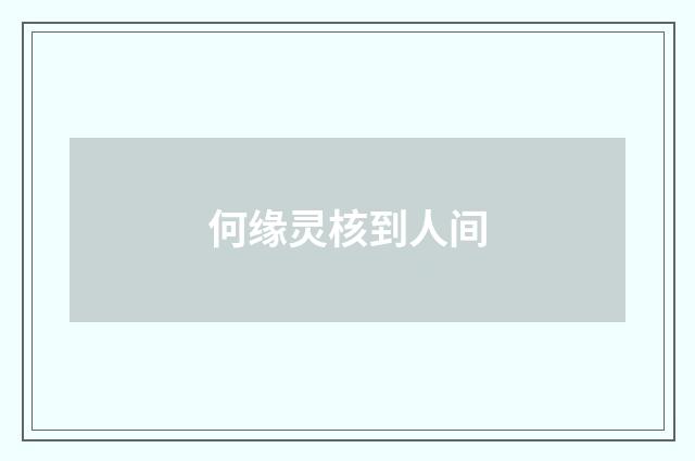 何缘灵核到人间