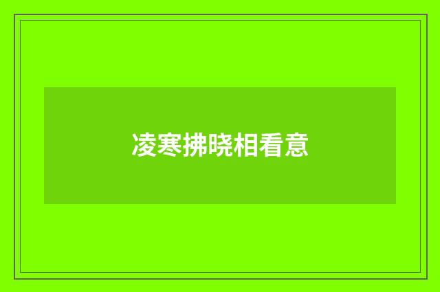 凌寒拂晓相看意