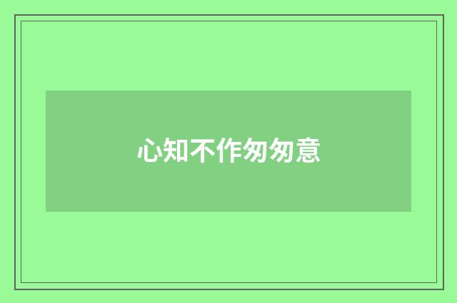 心知不作匆匆意