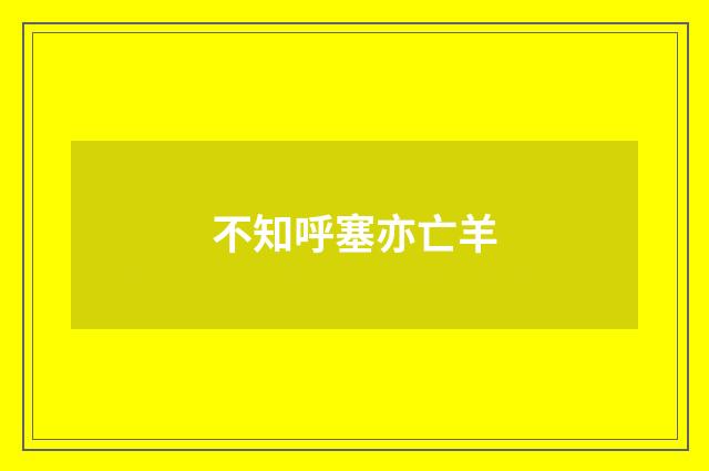 不知呼塞亦亡羊