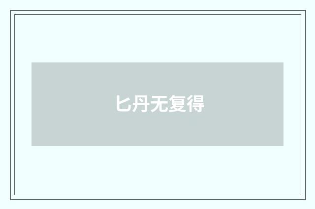 匕丹无复得