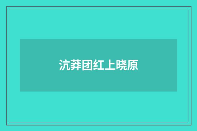 沆莽团红上晓原
