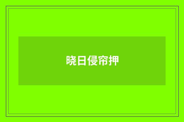 晓日侵帘押