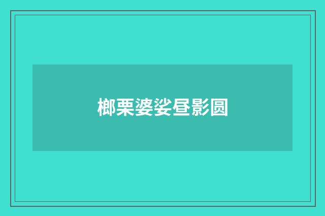 榔栗婆娑昼影圆
