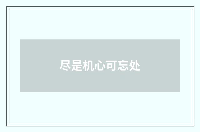 尽是机心可忘处