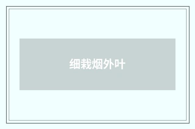 细栽烟外叶