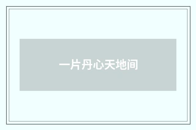 一片丹心天地间