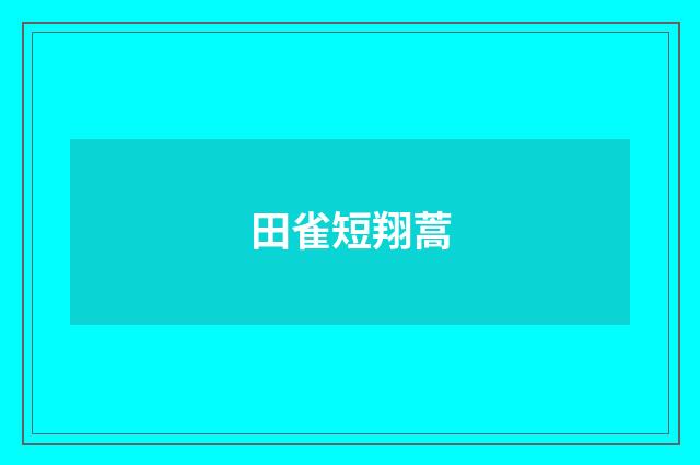 田雀短翔蒿