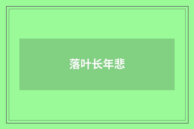 落叶长年悲