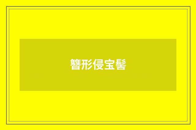 簪形侵宝髻