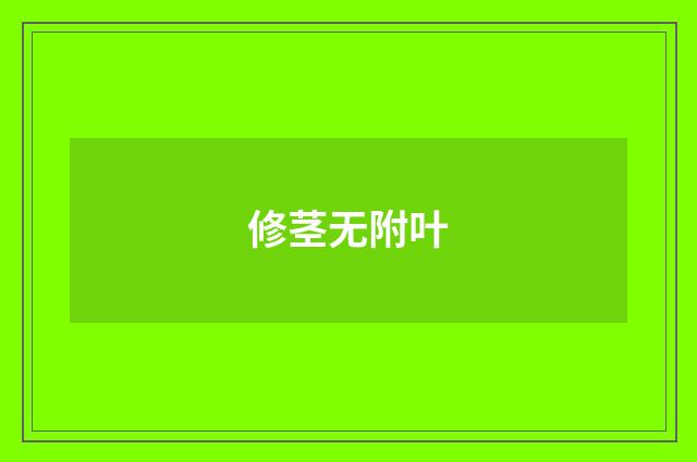 修茎无附叶