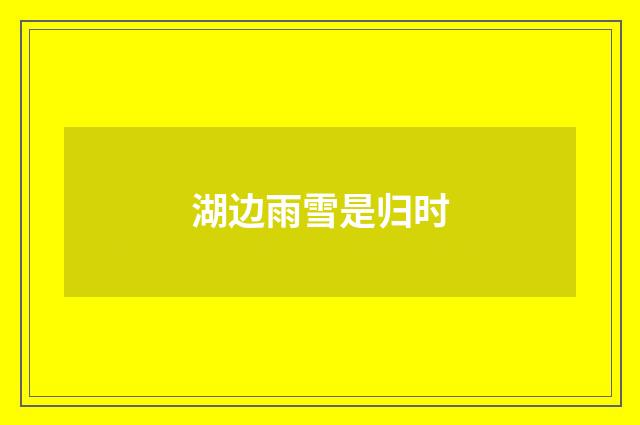 湖边雨雪是归时