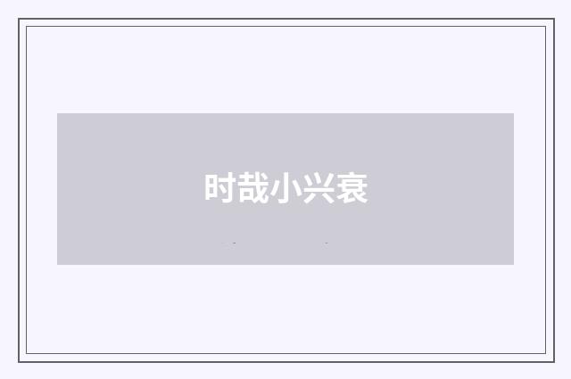 时哉小兴衰