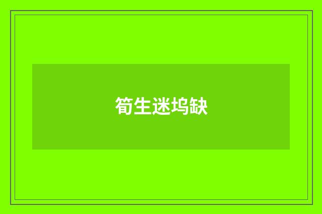 筍生迷坞缺