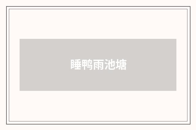 睡鸭雨池塘