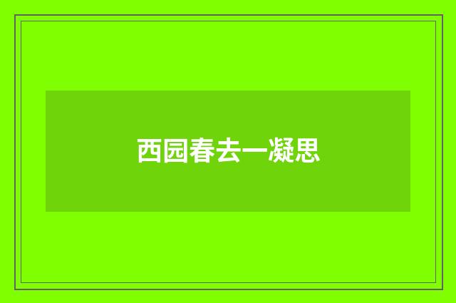 西园春去一凝思