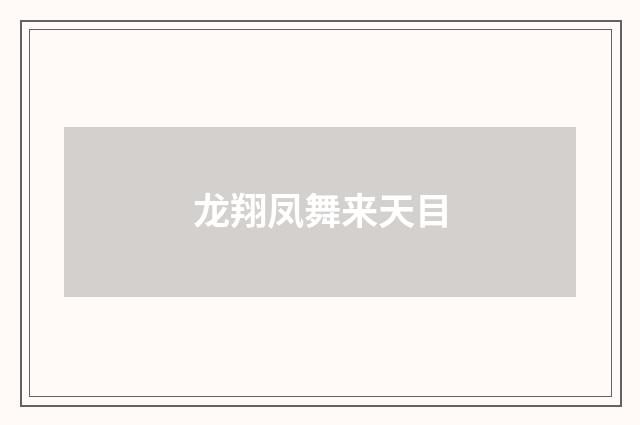 龙翔凤舞来天目