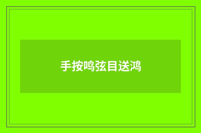 手按鸣弦目送鸿