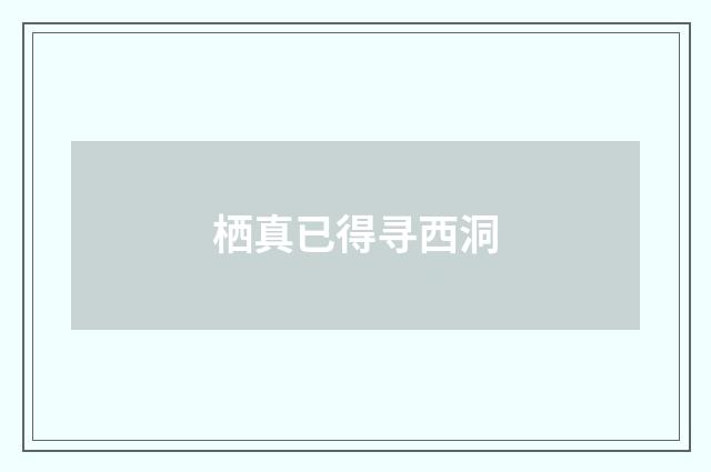 栖真已得寻西洞