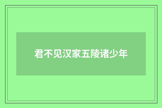 君不见汉家五陵诸少年