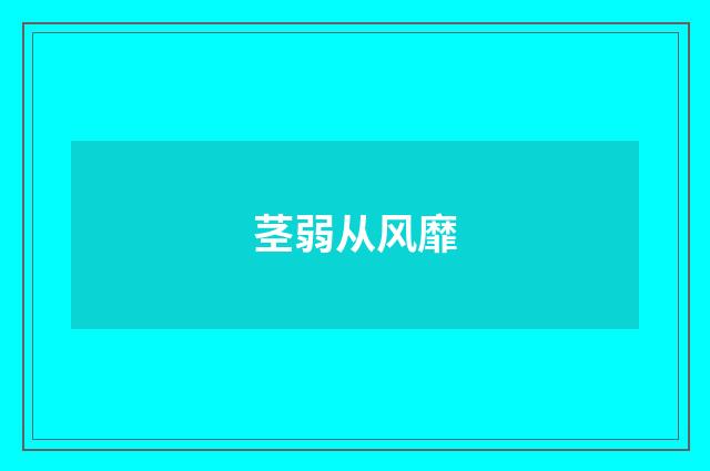茎弱从风靡