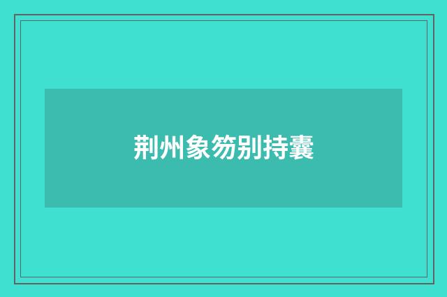 荆州象笏别持囊