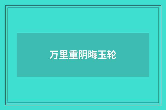 万里重阴晦玉轮