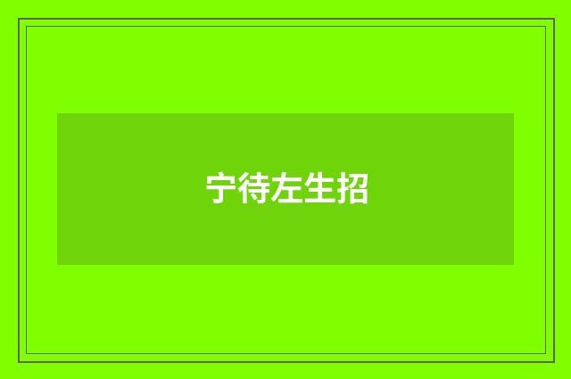 宁待左生招