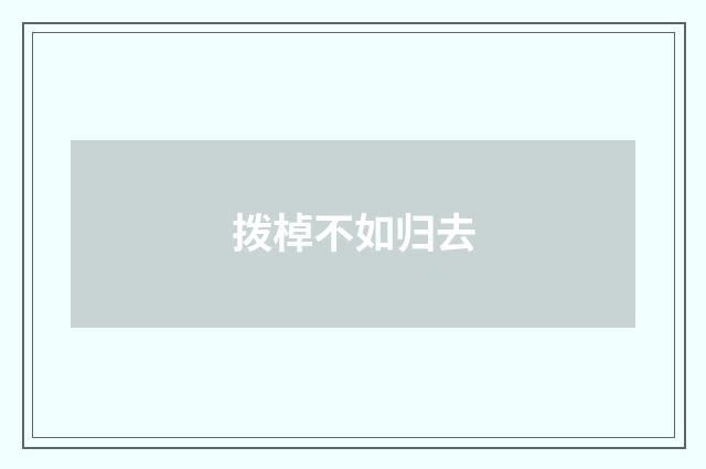 拨棹不如归去