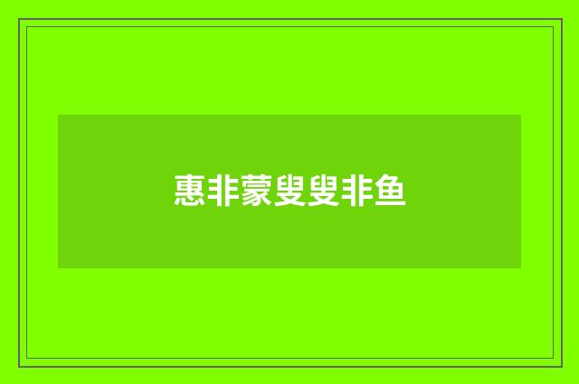 惠非蒙叟叟非鱼